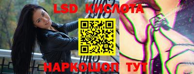 прущие грибы Будённовск