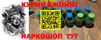 прущие грибы Будённовск