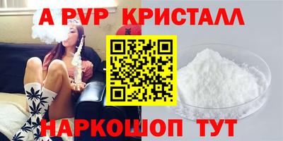 прущие грибы Будённовск