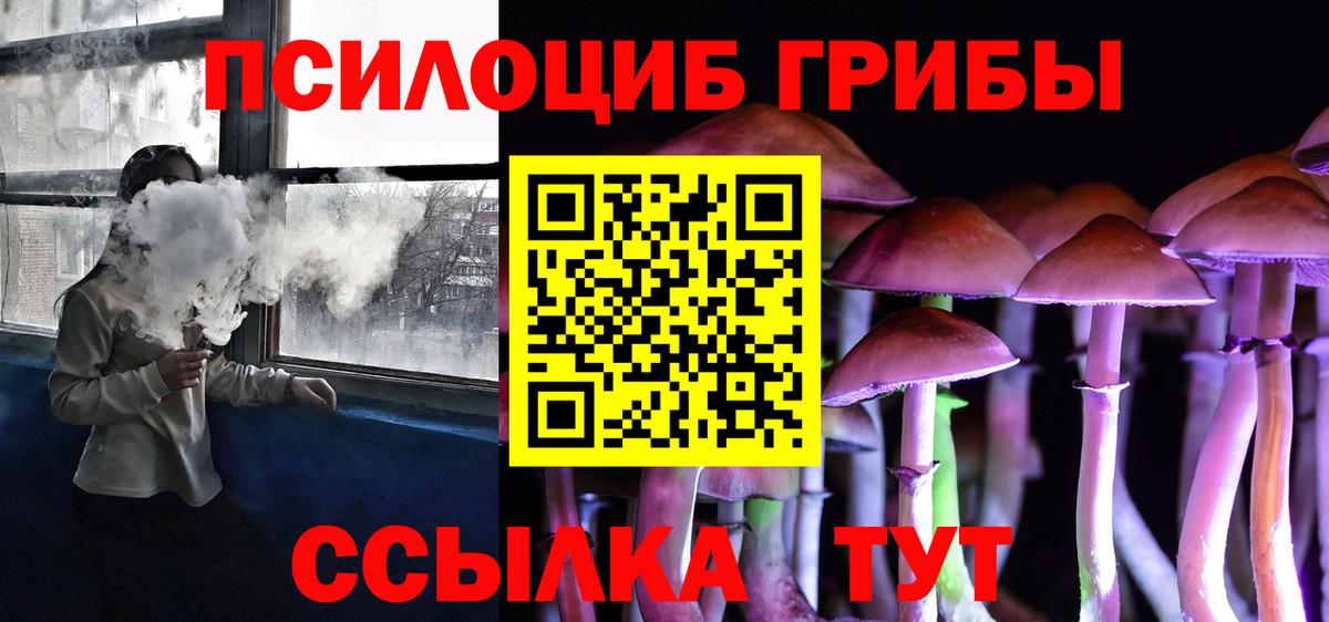 Псилоцибиновые грибы Psilocybine cubensis  Вход с VPN  Псилоцибиновые грибы Cubensis  Тосно 