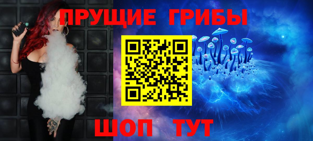 Псилоцибиновые грибы Cubensis Тосно